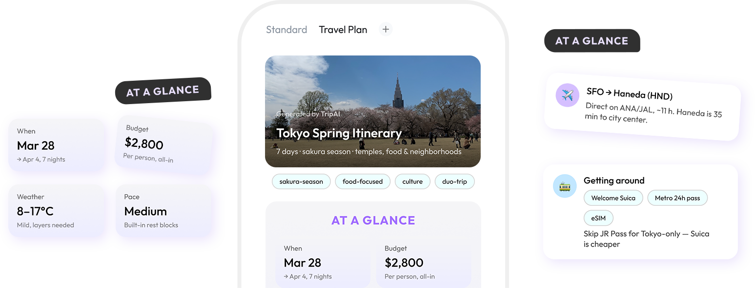 Family travel plan overview